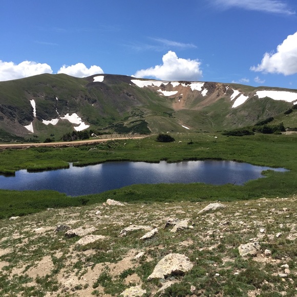 👉Meet your Posher, Jeanette - Picture 5 of 14